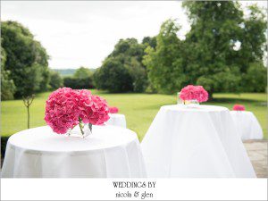 Engagement Party Photographer Photo