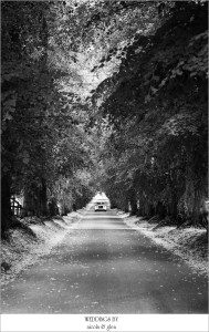 Cotswold Wedding Photographer Photo